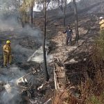 Desplome de avioneta en límites de Jalisco y Michoacán deja siete muertos