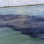 Detectan residuos tóxicos en costas de Champotón; pescadores alertan afectaciones