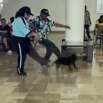 Abren investigación por presunto maltrato animal en Hospital de Especialidades